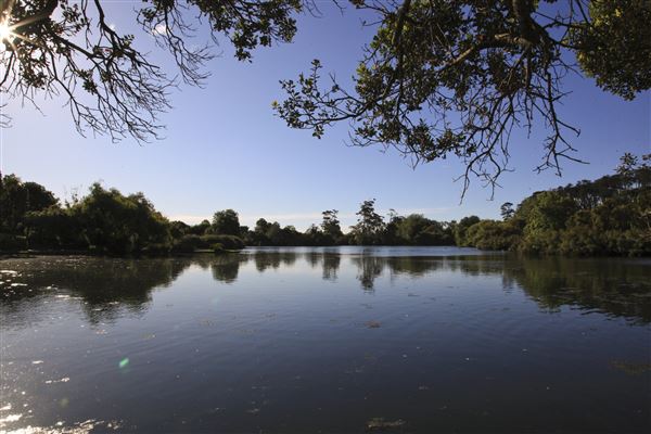Western Springs Park