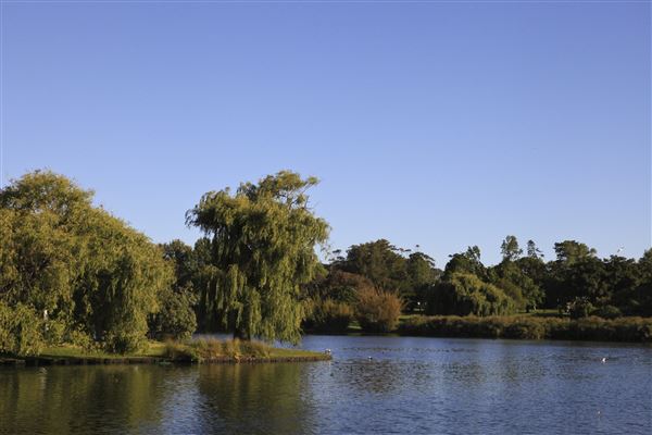 Western Springs Park