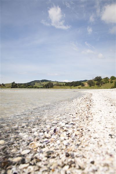 Kawakawa Bay