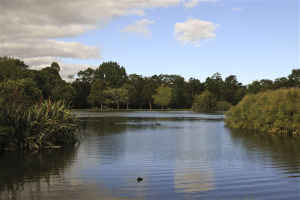 Western Springs Park