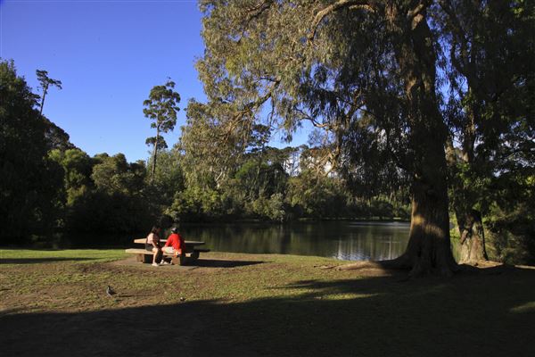 Western Springs Park