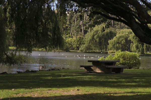 Western Springs Park