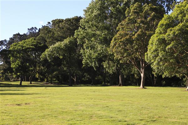 Western Springs Park
